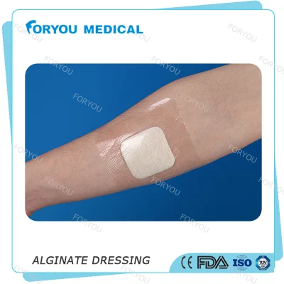 Huizhou Foryou Medical 2g alginato almofada curativo alginato gel curativo cálcio